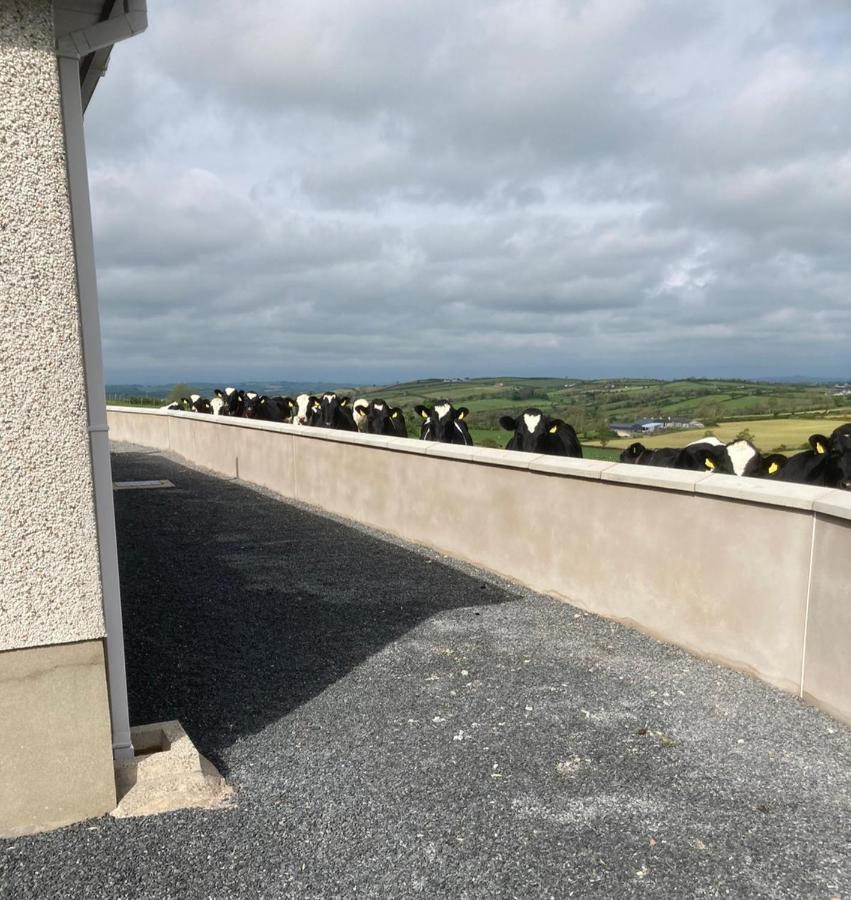Gracey'S Hillside Lodge Ballyward Esterno foto